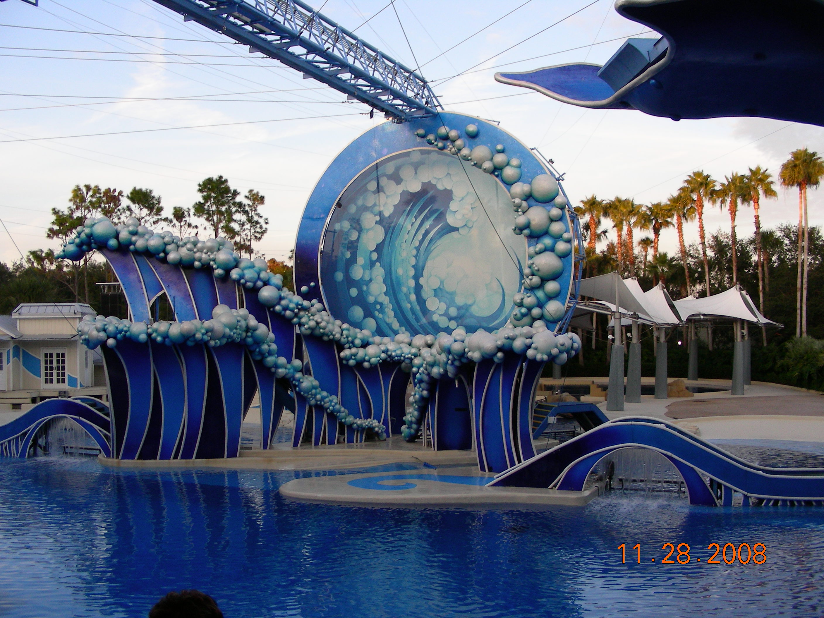 ./2008/Thanksgiving/Sea World/DSCN4624.JPG